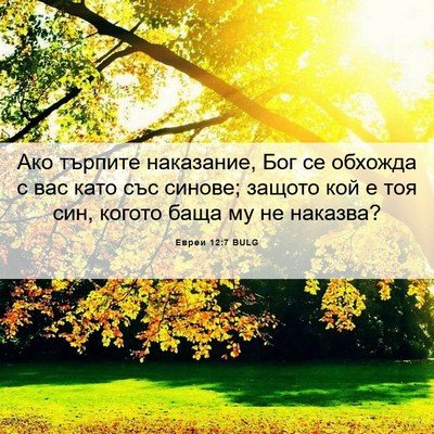 Picture 06 - Евреи 12:7 BULG - Ако търпите наказание, Бог - Bible Verse Picture
