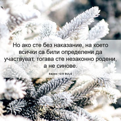 Picture 06 - Евреи 12:8 BULG - Но ако сте без наказание, - Bible Verse Picture
