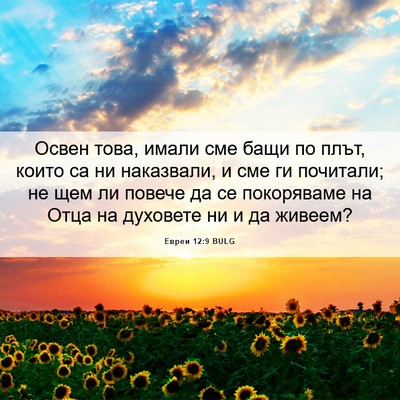 Picture 06 - Евреи 12:9 BULG - Освен това, имали сме бащи - Bible Verse Picture