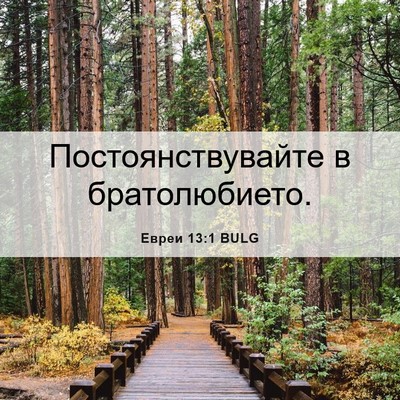 Picture 06 - Евреи 13:1 BULG - Постоянствувайте в - Bible Verse Picture