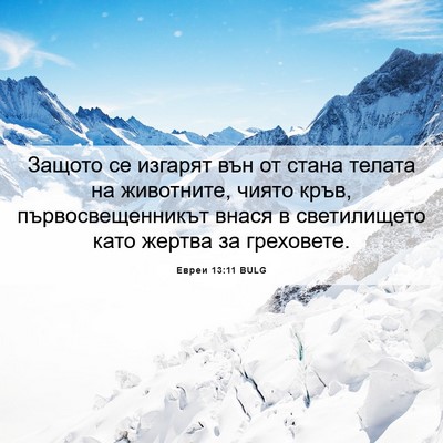 Picture 06 - Евреи 13:11 BULG - Защото се изгарят вън от - Bible Verse Picture