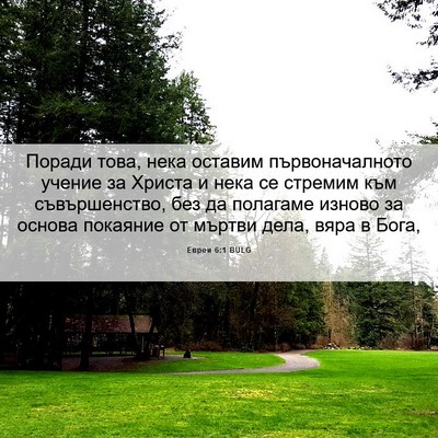 Picture 06 - Евреи 6:1 BULG - Поради това, нека оставим - Bible Verse Picture