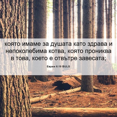 Picture 06 - Евреи 6:19 BULG - която имаме за душата като - Bible Verse Picture