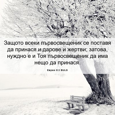 Picture 06 - Евреи 8:3 BULG - Защото всеки - Bible Verse Picture
