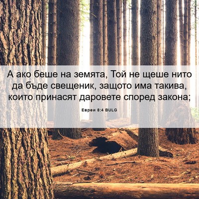 Picture 06 - Евреи 8:4 BULG - А ако беше на земята, Той не - Bible Verse Picture