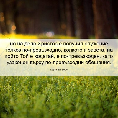 Picture 06 - Евреи 8:6 BULG - но на дело Христос е - Bible Verse Picture