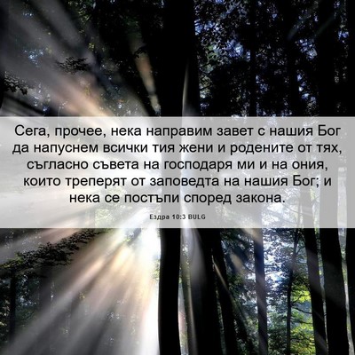 Picture 06 - Ездра 10:3 BULG - Сега, прочее, нека направим - Bible Verse Picture