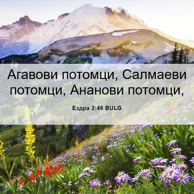 Picture 06 - Ездра 2:46 BULG - Агавови потомци, Салмаеви - Bible Verse Picture