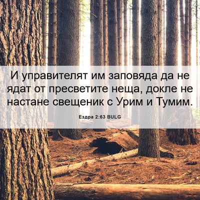 Picture 06 - Ездра 2:63 BULG - И управителят им заповяда - Bible Verse Picture
