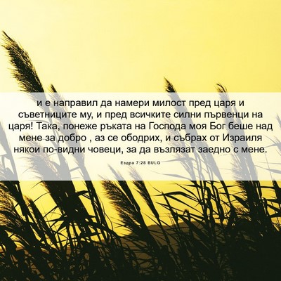 Picture 06 - Ездра 7:28 BULG - и е направил да намери - Bible Verse Picture
