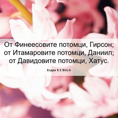 Picture 06 - Ездра 8:2 BULG - От Финеесовите потомци, - Bible Verse Picture
