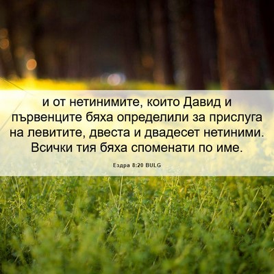 Picture 06 - Ездра 8:20 BULG - и от нетинимите, които - Bible Verse Picture