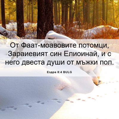 Picture 06 - Ездра 8:4 BULG - От Фаат-моавовите потомци, - Bible Verse Picture