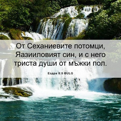 Picture 06 - Ездра 8:5 BULG - От Сеханиевите потомци, - Bible Verse Picture