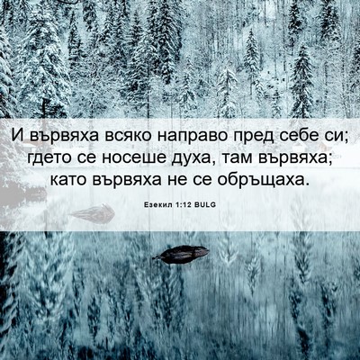 Picture 06 - Езекил 1:12 BULG - И вървяха всяко направо - Bible Verse Picture