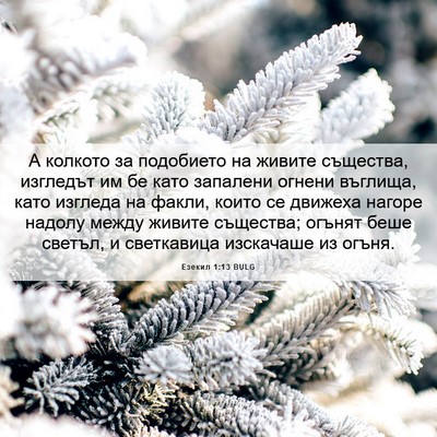 Picture 06 - Езекил 1:13 BULG - А колкото за подобието на - Bible Verse Picture