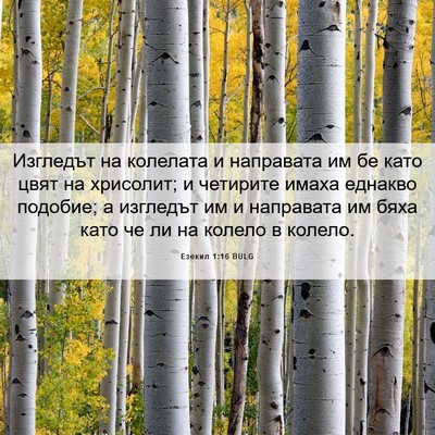 Picture 06 - Езекил 1:16 BULG - Изгледът на колелата и - Bible Verse Picture