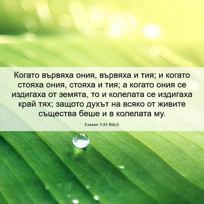 Picture 06 - Езекил 1:21 BULG - Когато вървяха ония, - Bible Verse Picture