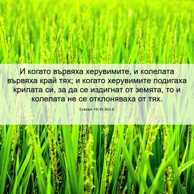 Picture 06 - Езекил 10:16 BULG - И когато вървяха - Bible Verse Picture