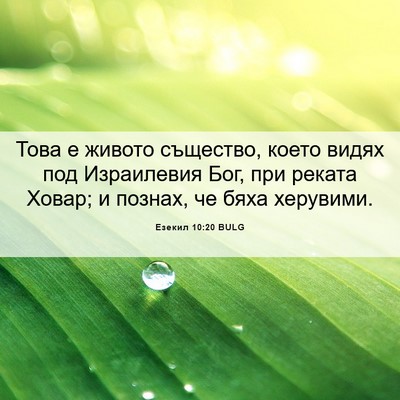 Picture 06 - Езекил 10:20 BULG - Това е живото същество, - Bible Verse Picture