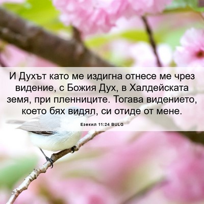Picture 06 - Езекил 11:24 BULG - И Духът като ме издигна - Bible Verse Picture