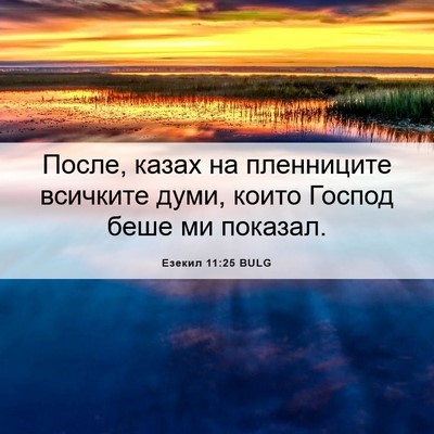 Picture 06 - Езекил 11:25 BULG - После, казах на пленниците - Bible Verse Picture