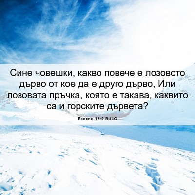 Picture 06 - Езекил 15:2 BULG - Сине човешки, какво повече - Bible Verse Picture