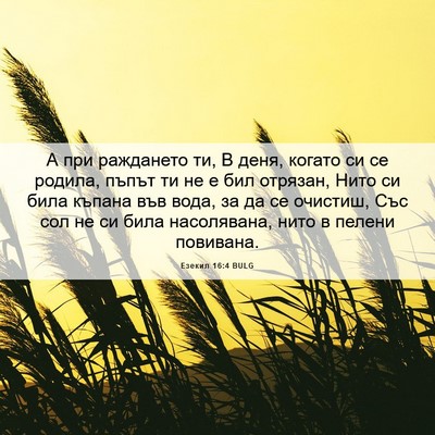 Picture 06 - Езекил 16:4 BULG - А при раждането ти, В деня, - Bible Verse Picture
