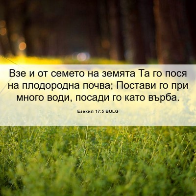 Picture 06 - Езекил 17:5 BULG - Взе и от семето на земята - Bible Verse Picture