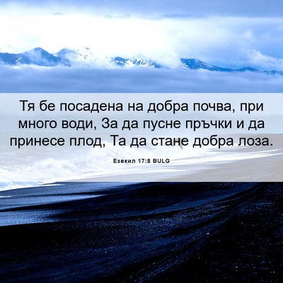 Picture 06 - Езекил 17:8 BULG - Тя бе посадена на добра - Bible Verse Picture