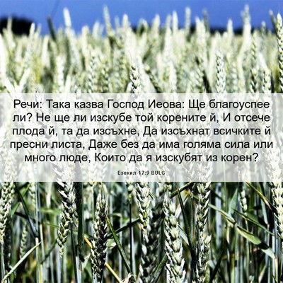 Picture 06 - Езекил 17:9 BULG - Речи: Така казва Господ - Bible Verse Picture