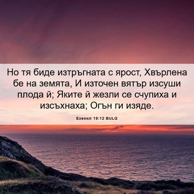 Picture 06 - Езекил 19:12 BULG - Но тя биде изтръгната с - Bible Verse Picture