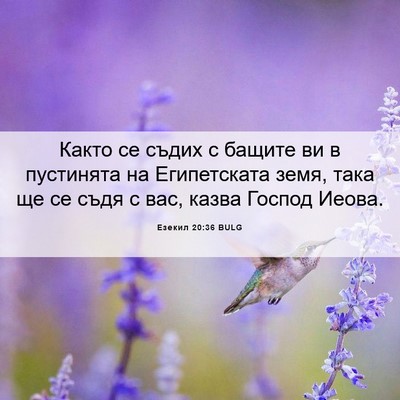 Picture 06 - Езекил 20:36 BULG - Както се съдих с бащите ви - Bible Verse Picture