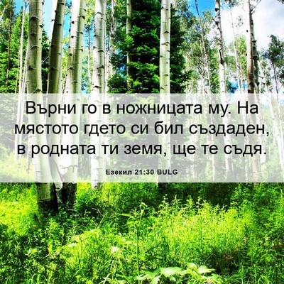 Picture 06 - Езекил 21:30 BULG - Върни го в ножницата му. На - Bible Verse Picture