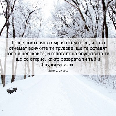 Picture 06 - Езекил 23:29 BULG - Те ще постъпят с омраза към - Bible Verse Picture