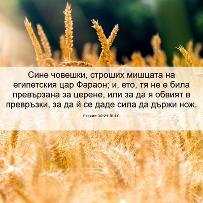 Picture 06 - Езекил 30:21 BULG - Сине човешки, строших - Bible Verse Picture