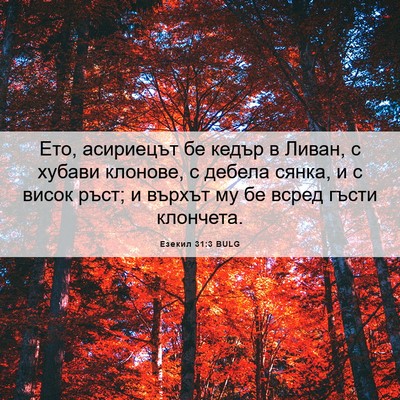 Picture 06 - Езекил 31:3 BULG - Ето, асириецът бе кедър в - Bible Verse Picture
