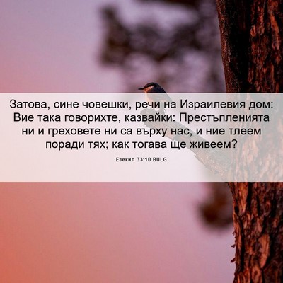 Picture 06 - Езекил 33:10 BULG - Затова, сине човешки, речи - Bible Verse Picture