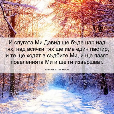 Picture 06 - Езекил 37:24 BULG - И слугата Ми Давид ще бъде - Bible Verse Picture