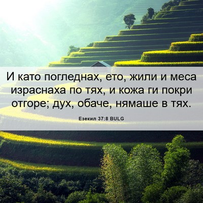 Picture 06 - Езекил 37:8 BULG - И като погледнах, ето, жили - Bible Verse Picture