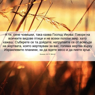 Picture 06 - Езекил 39:17 BULG - А ти, сине човешки, така - Bible Verse Picture