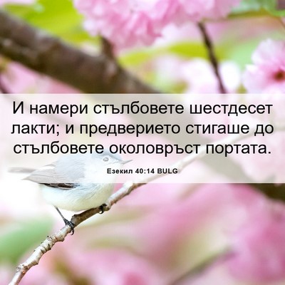 Picture 06 - Езекил 40:14 BULG - И намери стълбовете - Bible Verse Picture