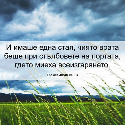 Picture 06 - Езекил 40:38 BULG - И имаше една стая, чиято - Bible Verse Picture