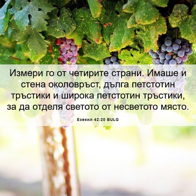 Picture 06 - Езекил 42:20 BULG - Измери го от четирите - Bible Verse Picture