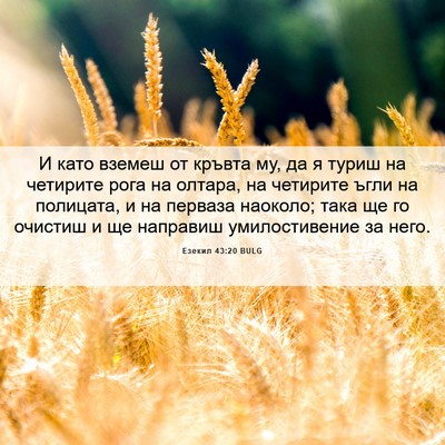Picture 06 - Езекил 43:20 BULG - И като вземеш от кръвта му, - Bible Verse Picture