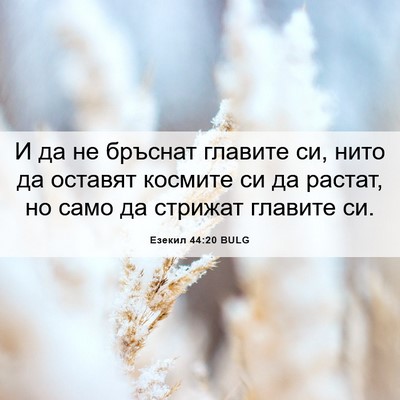 Picture 06 - Езекил 44:20 BULG - И да не бръснат главите си, - Bible Verse Picture