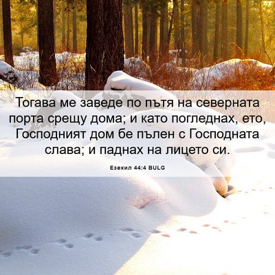 Picture 06 - Езекил 44:4 BULG - Тогава ме заведе по пътя на - Bible Verse Picture