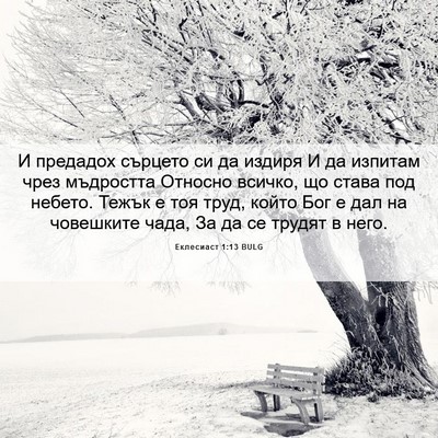 Picture 06 - Еклесиаст 1:13 BULG - И предадох сърцето си да - Bible Verse Picture