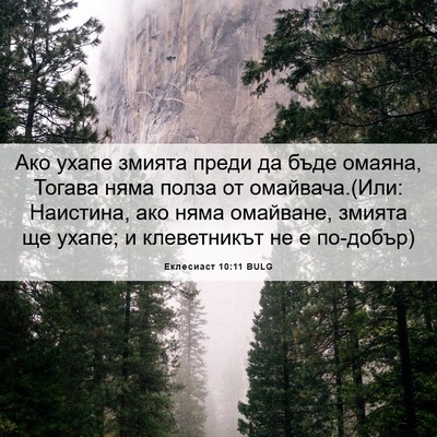 Picture 06 - Еклесиаст 10:11 BULG - Ако ухапе змията преди да - Bible Verse Picture
