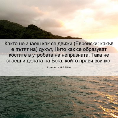 Picture 06 - Еклесиаст 11:5 BULG - Както не знаеш как се движи - Bible Verse Picture